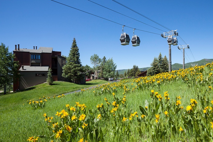 A charming mountain retreat surrounded by lush meadows blooming with wildflowers, offering convenient gondola access to slopes and trails right from the neighborhood.
