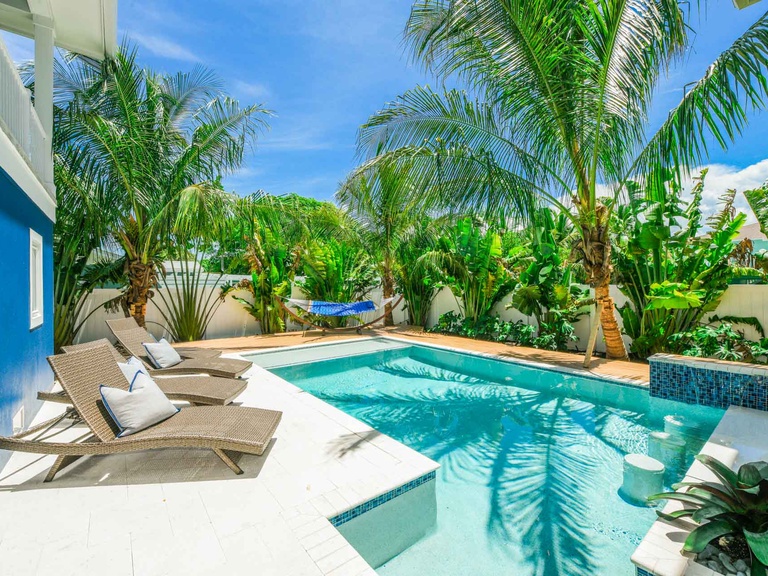 Palmetto Pointe Photo
