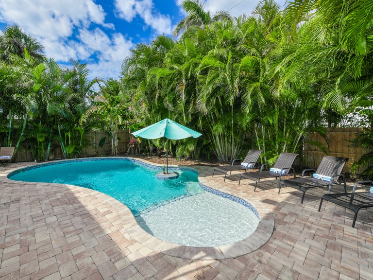 Caribbean Reef Photo