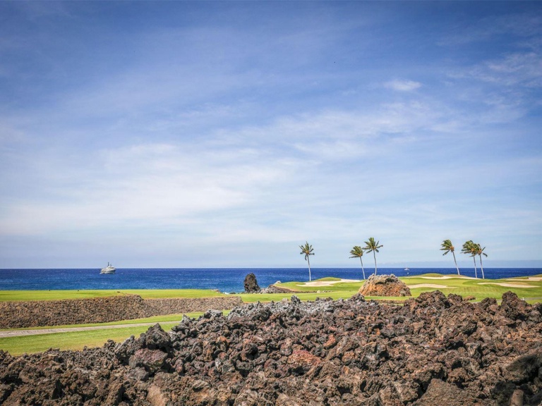 Mauna Lani Point C102 3