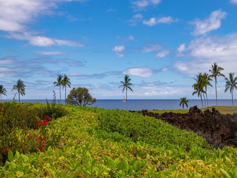 Mauna Lani Point B101 2