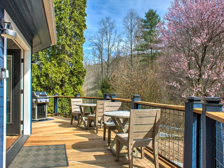 Deck w/ Gas Grill and Outdoor Seating