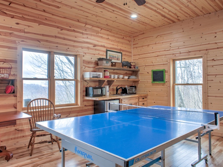 Ping Pong Table, Kitchenette & Mountain Views