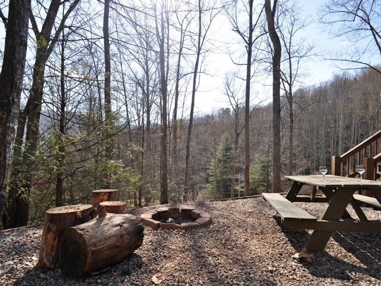 Picnic Area with Fire Pit