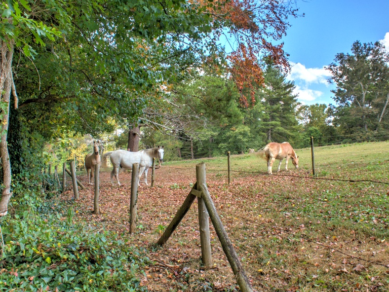 Heartwood Cottage