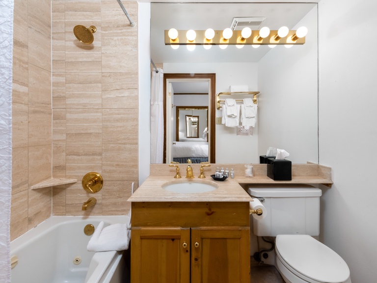 Mountain View Studio with Kitchen 4