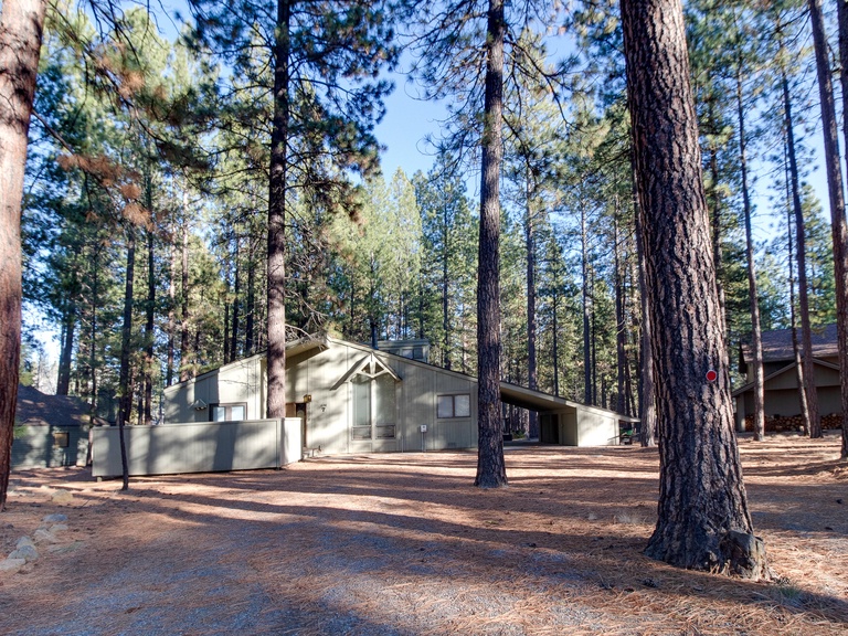 Forest Haven Family Time Vacation Rentals