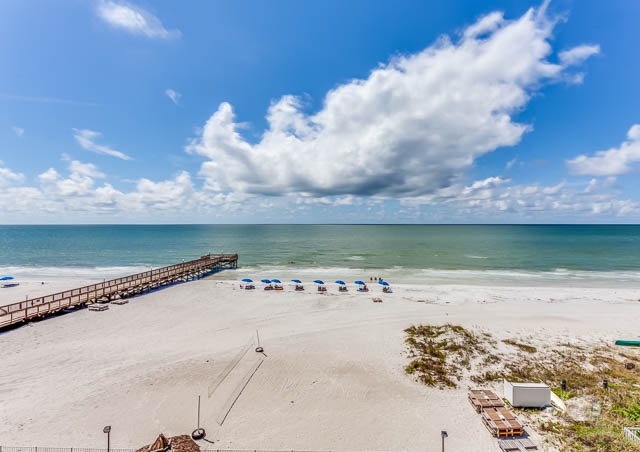 Sand Dollar 410 Photo