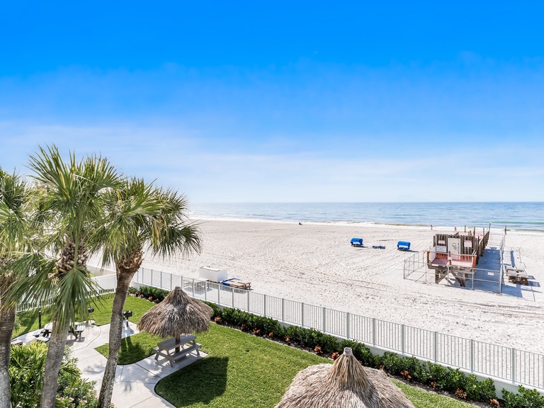 Sand Dollar 205 Photo