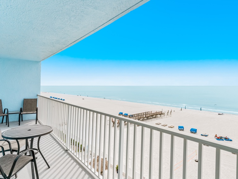 Sand Dollar 510 Photo