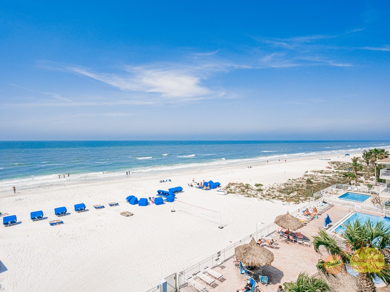 Sand Dollar 405 Photo