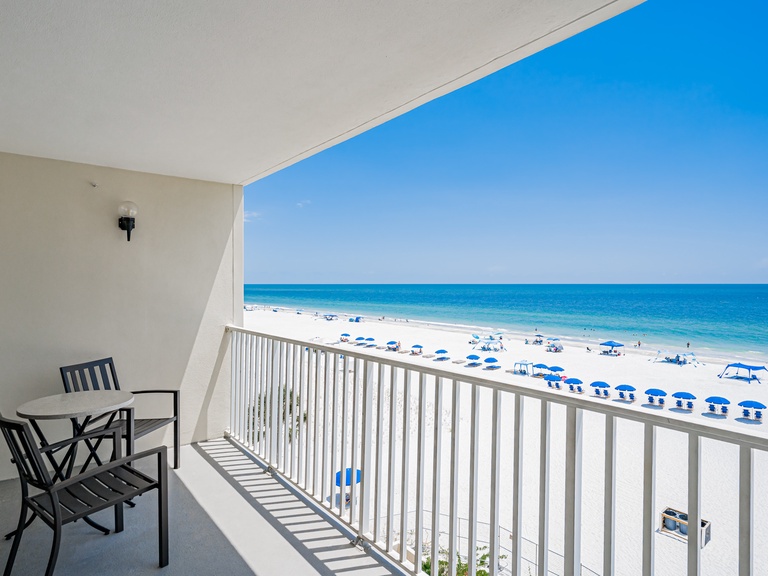 Beach Palms 408 Photo
