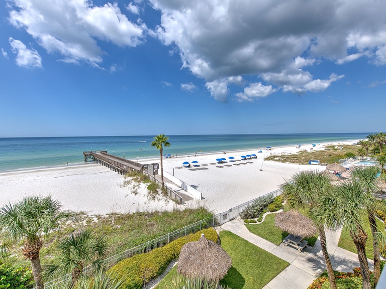 Sand Dollar 302 Photo