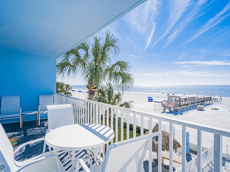 Sand Dollar 207 Photo