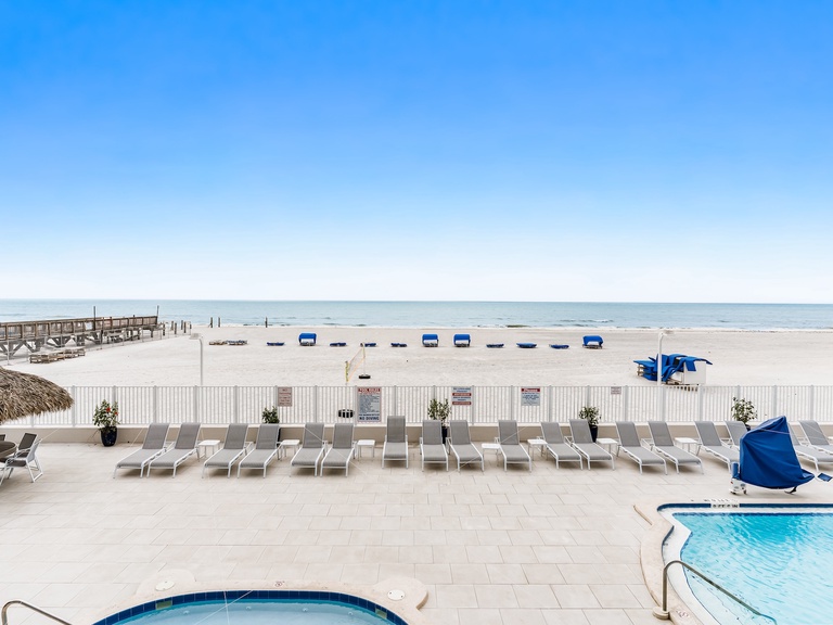 Sand Dollar 109 Photo