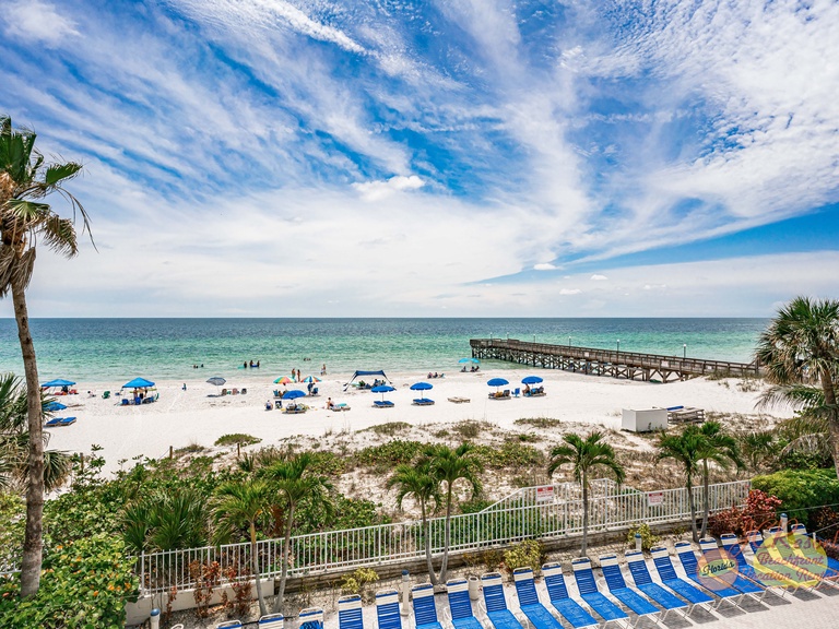 Beach Palms 209 Photo