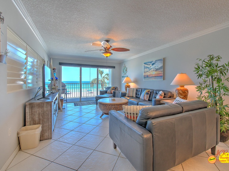 Sea Oats 204 Photo