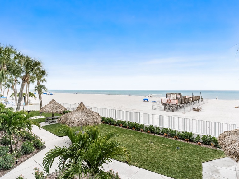 Sand Dollar 106 Photo