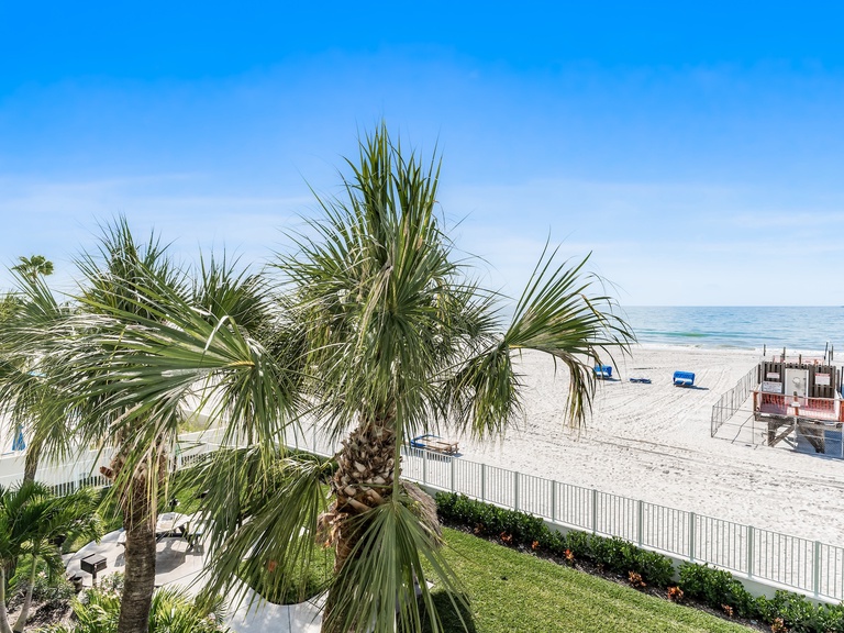 Sand Dollar 204 Photo