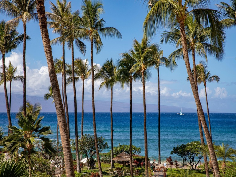 Kaanapali Alii 231