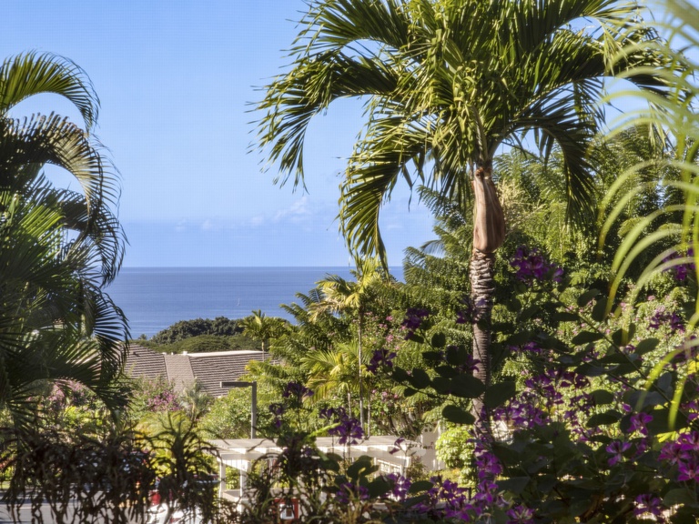 Wailea Grand Champions 27 3