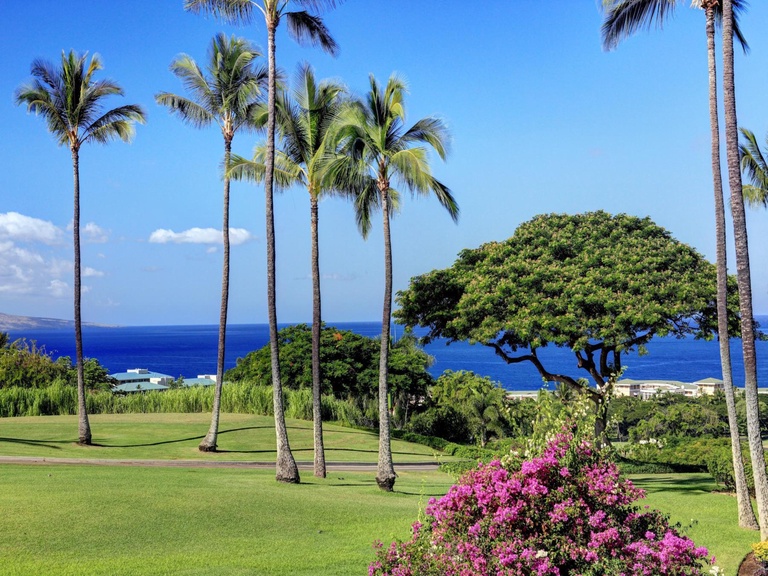 Wailea Ekolu Village 1203
