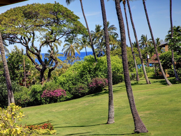 Wailea Ekahi Village 10F