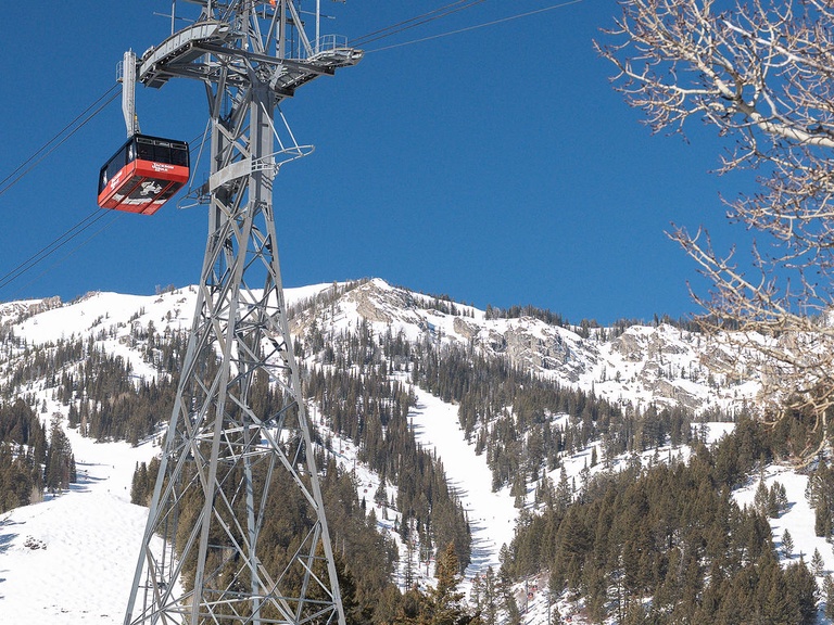 Tram Tower 12