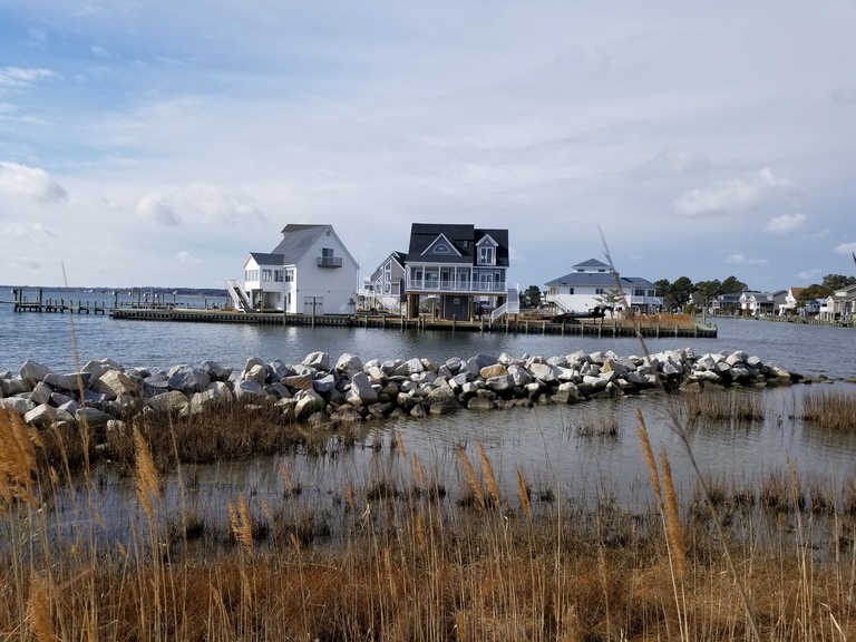 Chincoteague Pet Friendly Rentals Chincoteague Island Vacations