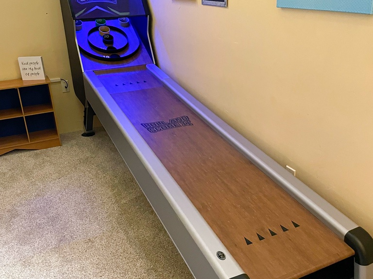 Skee Ball Game