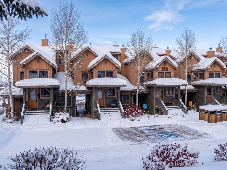 Kicking Horse Palomino 7-302
