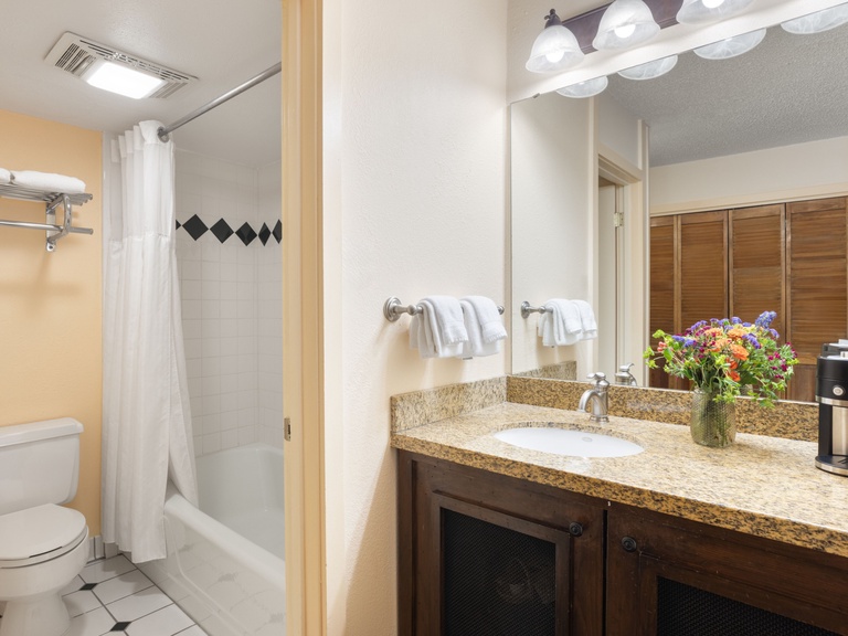 Mountain View King 2