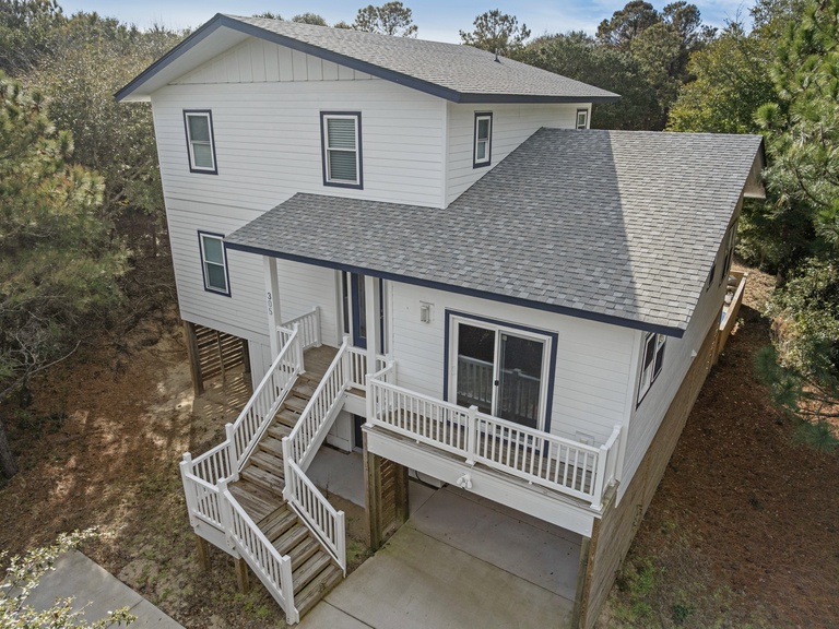 SH305: Wax Turtle