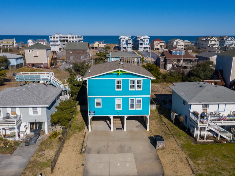 KDN3307: Carolina Sunshine
