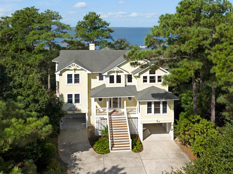 CL547: Animal House