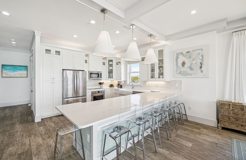Fully Equipped Gourmet Chef's Kitchen