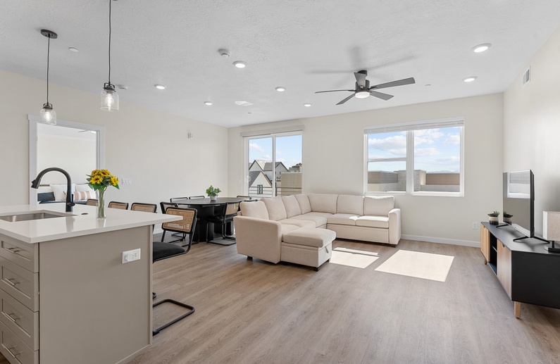 Cactus Blossom Oasis