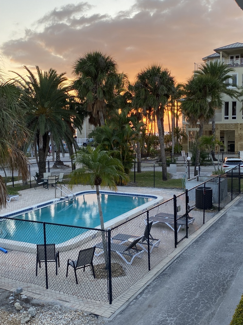 Property aerial view showcasing the inviting swimming pool surrounded by tropical palm trees and comfortable poolside seating arrangements.