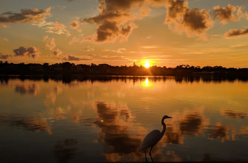 Golden sunset over tranquil lakefront setting where a graceful heron completes this picturesque natural scene near the property.