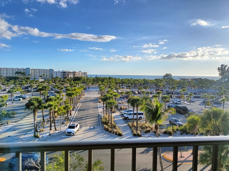 Panoramic view overlooking palm-lined streets and coastal buildings under expansive blue skies.