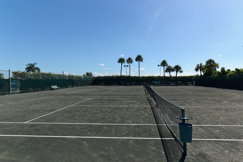 Professional tennis courts surrounded by swaying palm trees under clear blue skies create the perfect tropical sports setting.
