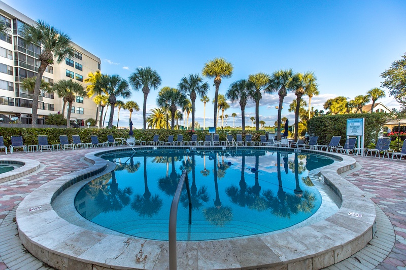 Property pool area surrounded by palm trees and lounge chairs under Florida's clear blue sky.