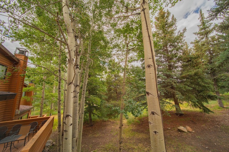 Private deck view #summer