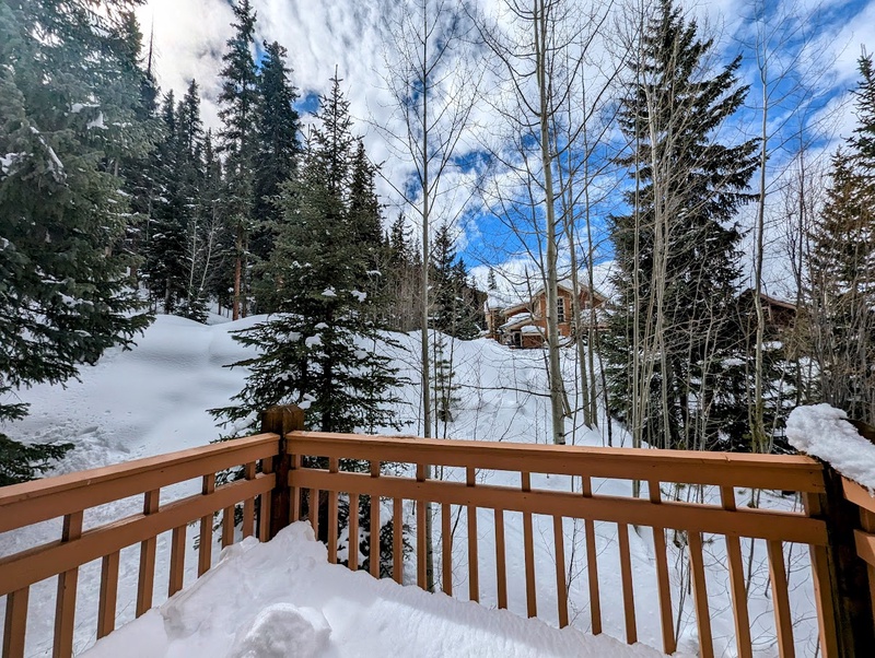 Upper level balcony with forest views #winter