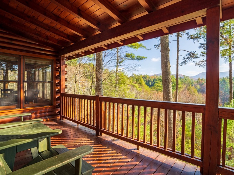 Featured Property Hog Heaven