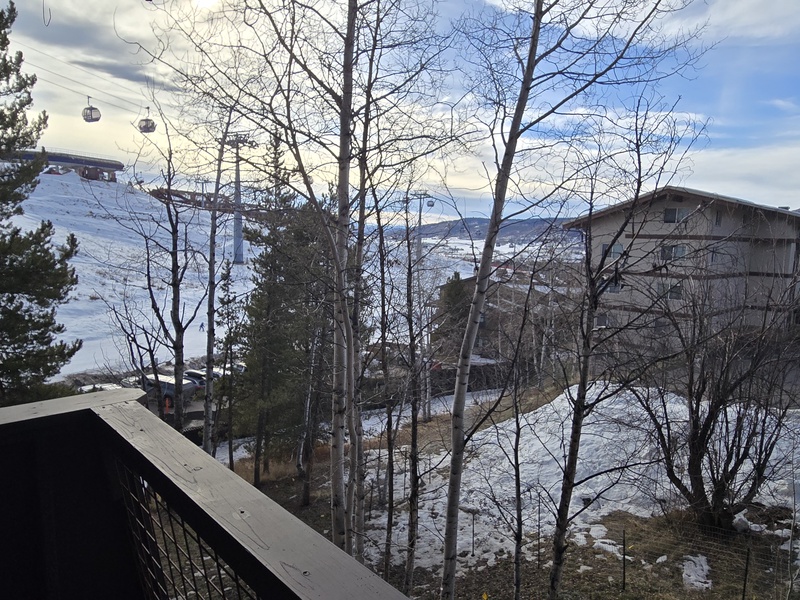 Stunning ski resort location showcases winter terrain and mountain scenery, with lifts and slopes visible through the trees, plus convenient access to the surrounding area.