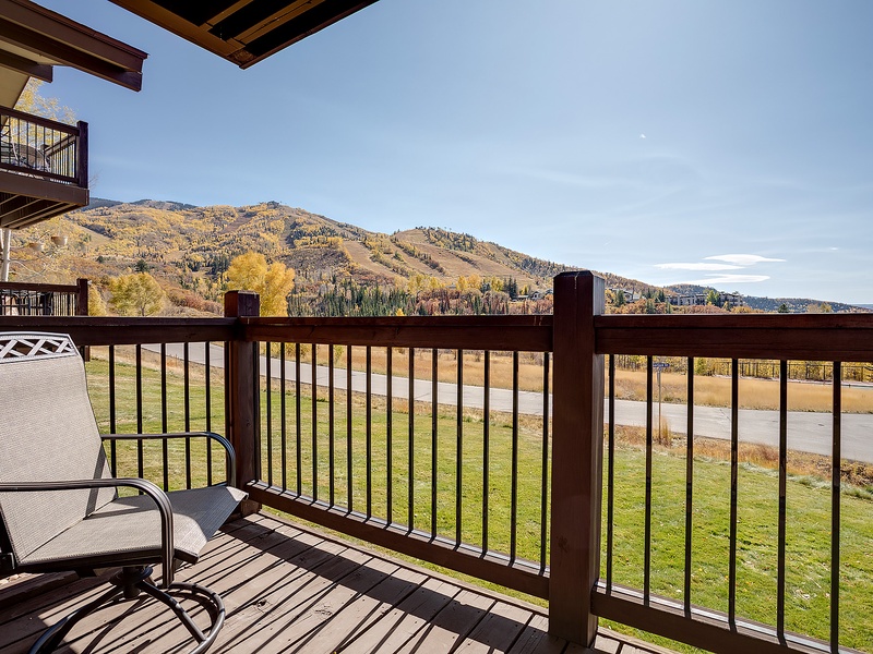 The property offers scenic mountain vistas and a peaceful setting adjacent to open green spaces and walking paths, providing a serene backdrop for your mountain retreat.