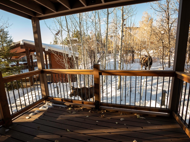 A covered deck overlooks snow-dusted slopes and bare aspen trees with mountain views stretching beyond, framing a peaceful winter scene for the property.