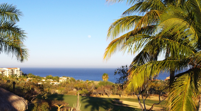 Amazing ocean views
