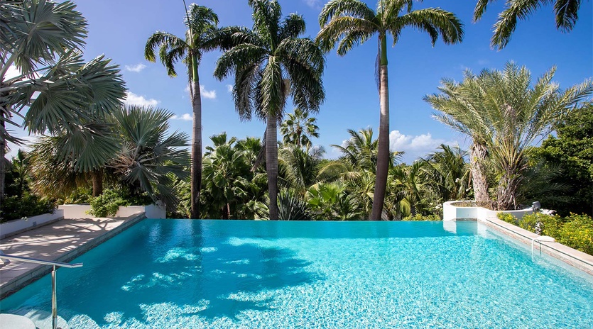 01-LesPalmiersBleus_Pool